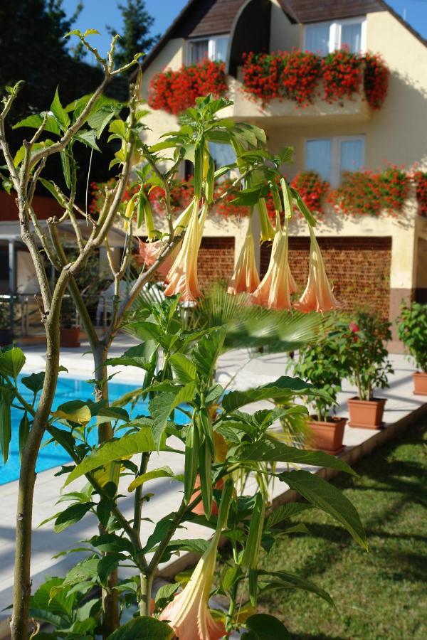 Alfa & Wellness Miskolctapolca